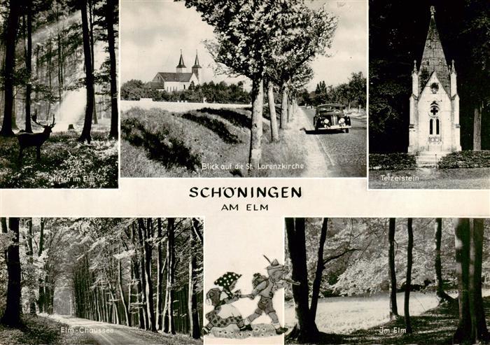 Schoeningen Hirsch im Elm St Lorenzkirhe Tetzelstein Elm Chaussee Im Elm