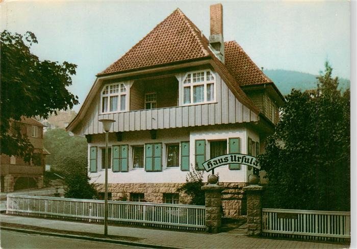Bad Harzburg Haus Ursula