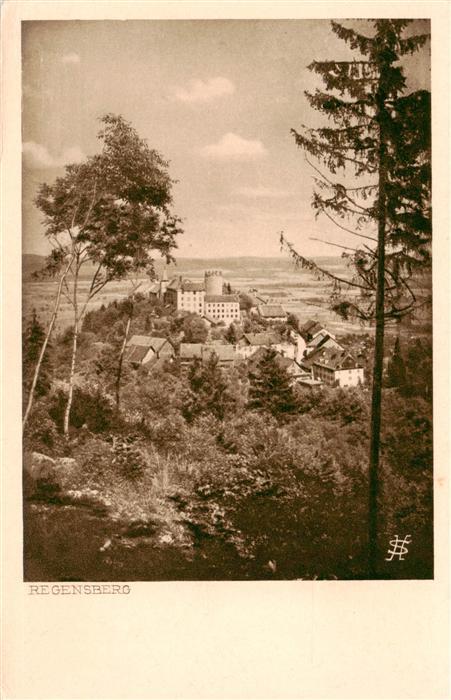 Regensberg Dielsdorf ZH Panorama Schloss