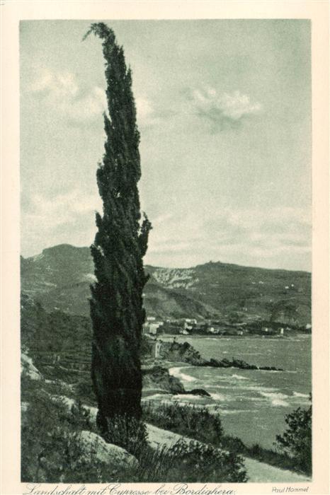 Bordighera IT Landschaft  mit Cypresse