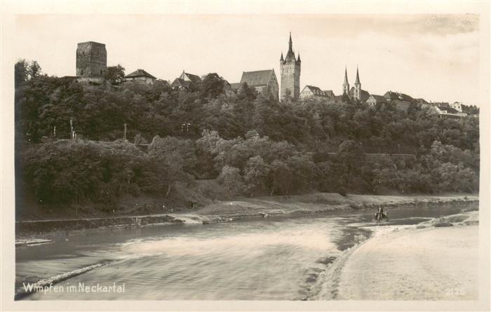 Bad Wimpfen Neckar Neckarpartie mit Schloss