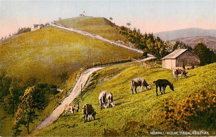 Hoernli-Kulm 1136m ZH im Toesstal
