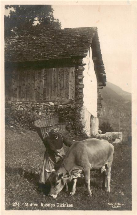 Landwirtschaft Motivo Rustico Ticinese KUh Frau
