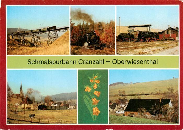 Oberwiesenthal Erzgebirge Schmalspurbahn Cranzahl Viadukt Bergfahrt bei Kretscha