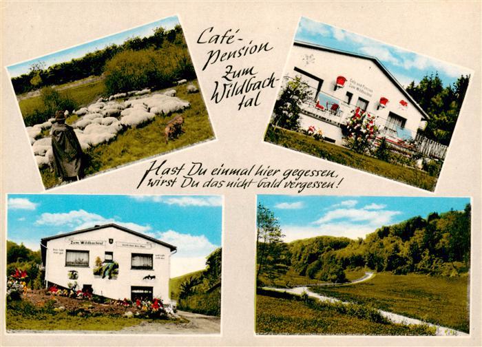 Wommelshausen Bad Endbach Cafe Pension Zum Wildbachtal Schafherde Panorama