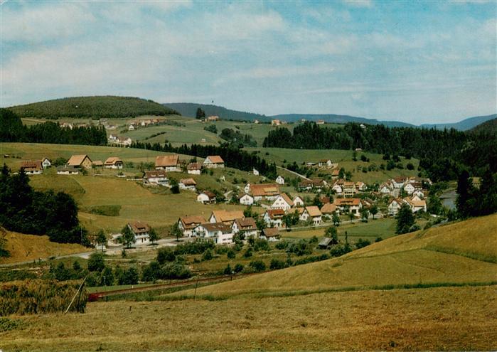 Huzenbach Baiersbronn Fliegeraufnahme