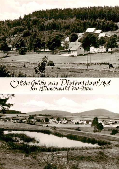 Dietersdorf Oberviechtach Panorama Weiher