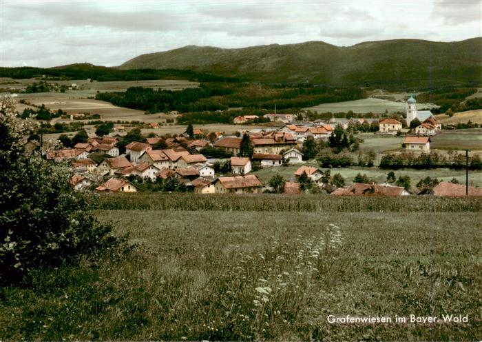 Grafenwiesen Panorama