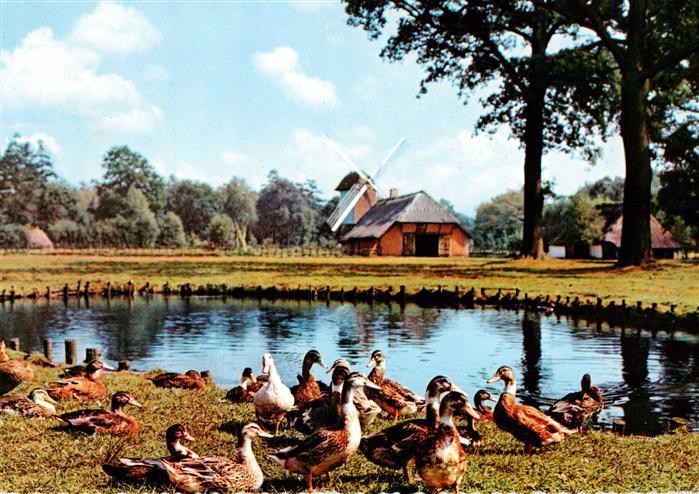 Bokrijk Belgie Provinciaal Domein