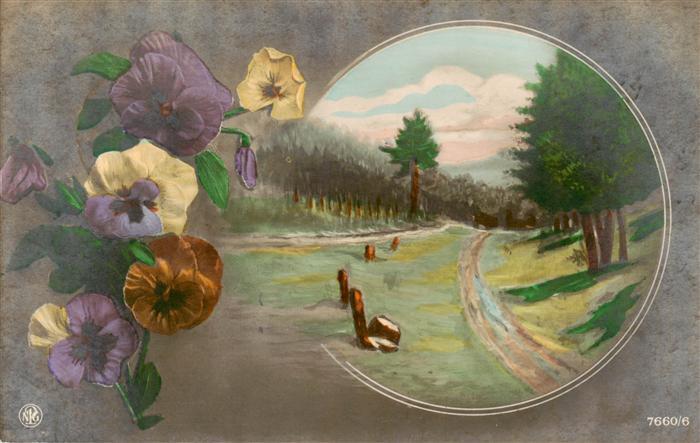 Verlag NPG Nr. Nr. 7660/6 Wald Blume