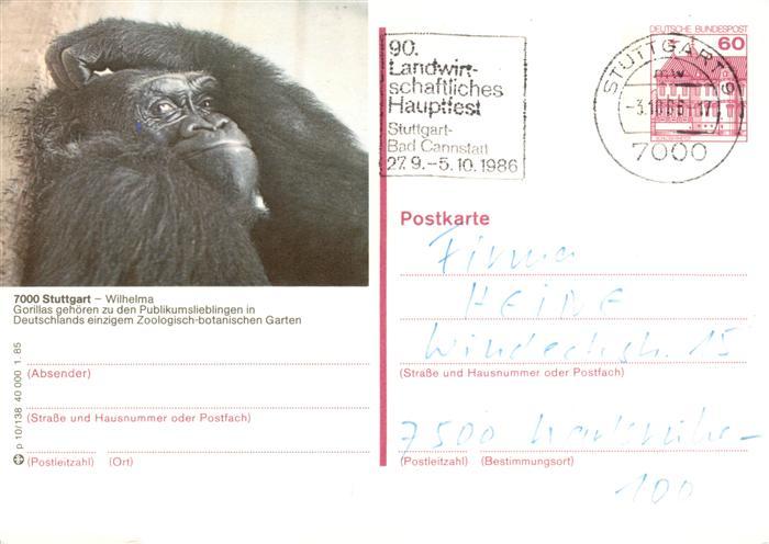 Zoo Gardin Zoologique-- Stuttdart Wilheima Gorilla