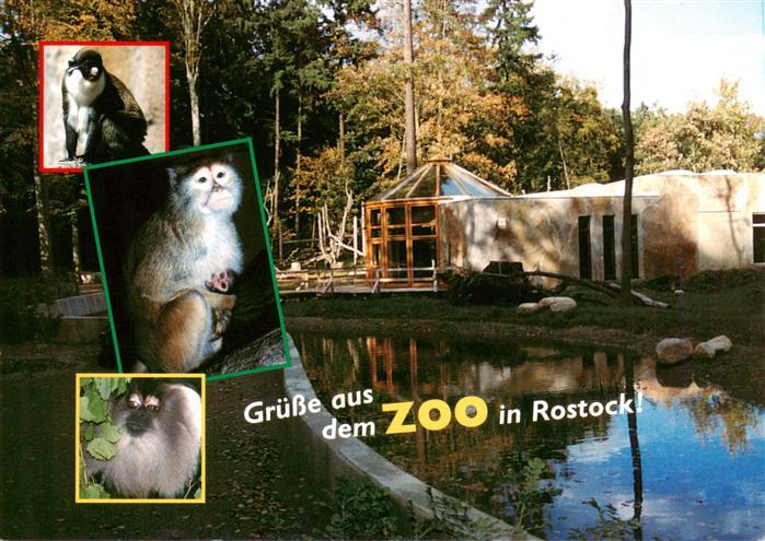 Zoo Gardin Zoologique-- Rostock Weissnasenmeerkatz Husarenaffe Wanderu