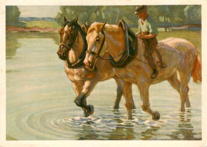 Elmiger Franz Kuenstlerkarte Pferdeschwermme