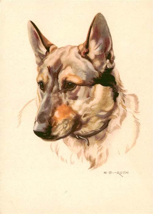 Hunde dogs chiens Deutscher Schaeferhund N.B.-Roth Flechsig-Nr. 6701