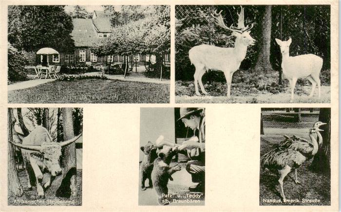 Jaderberg Jade Jaderberger Tiergarten Damhirsche Afr Steppenrind Sib Braunbaeren