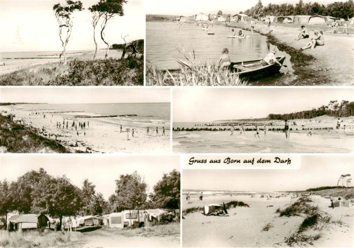 Born Darss Strandpartien Campingplatz