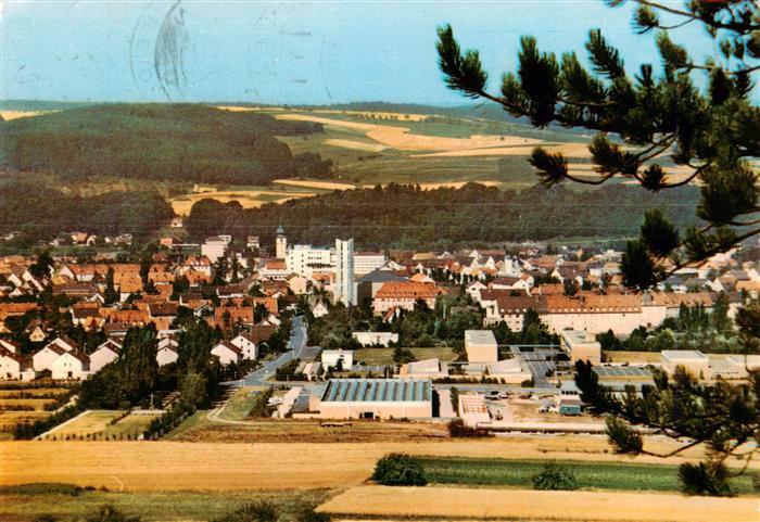 Marktheidenfeld Panorama