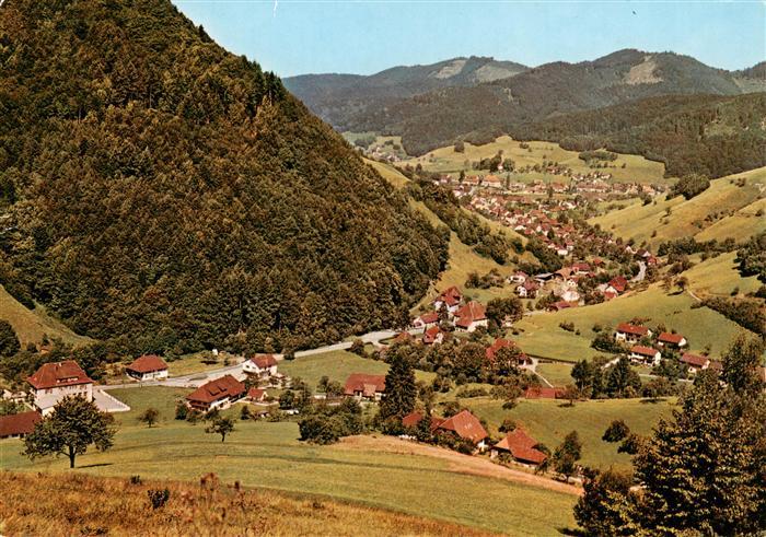 Muenstertal Schwarzwald Rotenbuck Panorama