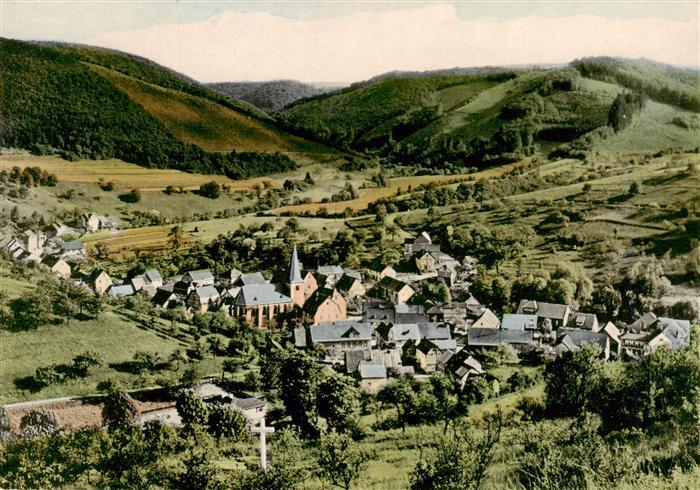 Luetz Luetzbachtal Seitental der Mosel Fliegeraufnahme