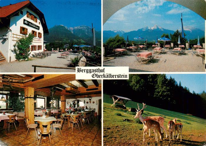 BERCHTESGADEN Bayern Berggasthof Oberkaelberstein Gastraum Freiterrasse Rotwild