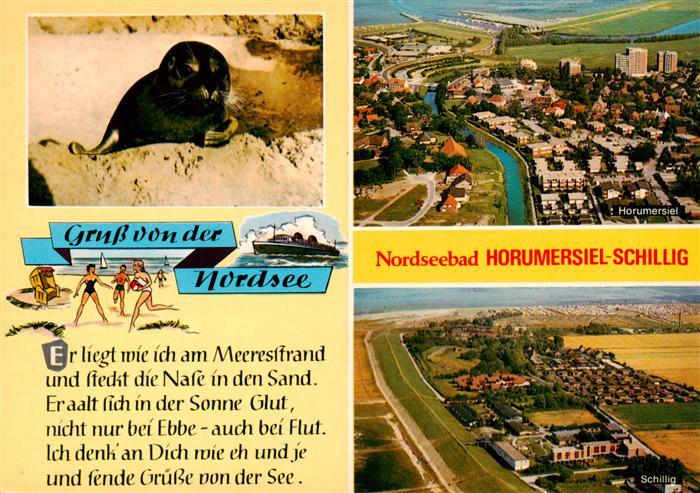 Schillig Horumersiel Nordseebad Seehund Fliegeraufnahme Horumersiel und Schillig
