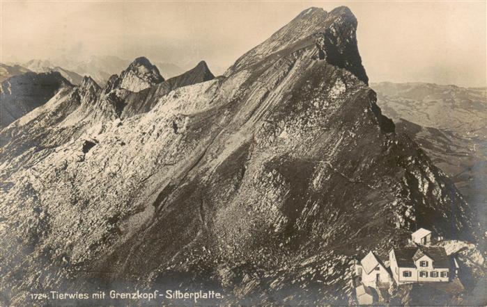Tierwies AR mit Grenzkopf Silberplatte