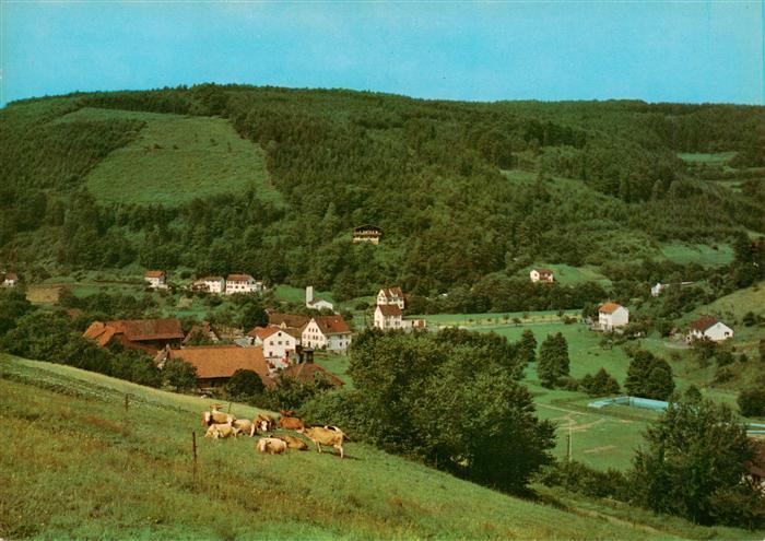 Finkenbach Odenwald Landheim des Liselotte Gymnasiums Mannheim