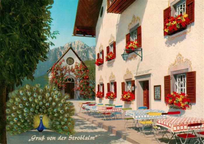 Hoegl Piding Stroblalm am Hoegl mit Hochstaufen