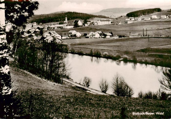 Blaibach Panorama