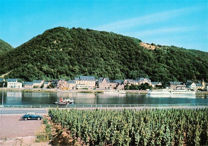 Brodenbach Mosel Panorama