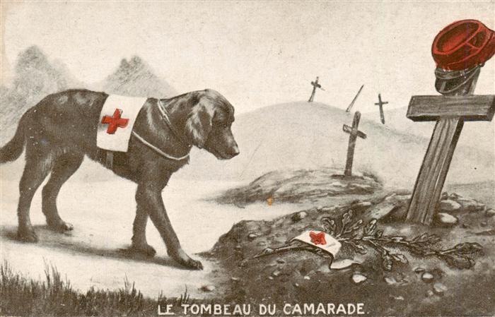 Hunde dogs chiens Tombeau du Camarade Kreuz Friedhof