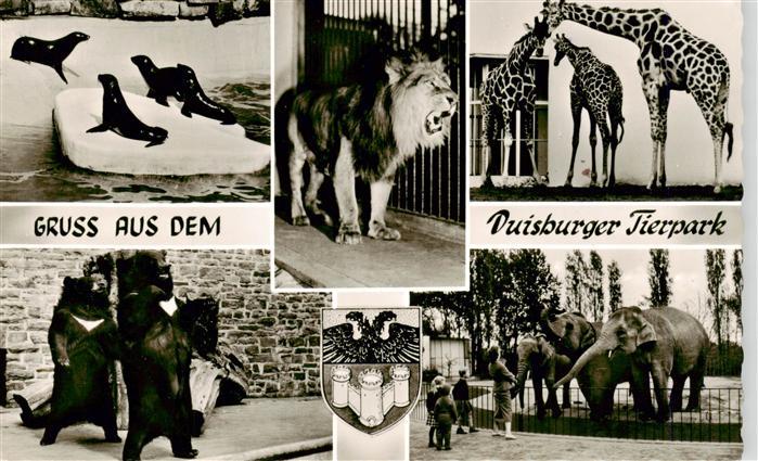 Zoo Gardin Zoologique-- Duisburger Tierpark Elefanten Girafen Loewe Baer