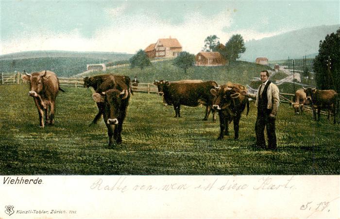 Verlag Kuenzli Zuerich Nr. 1147 Viehherde Kuehe Mann