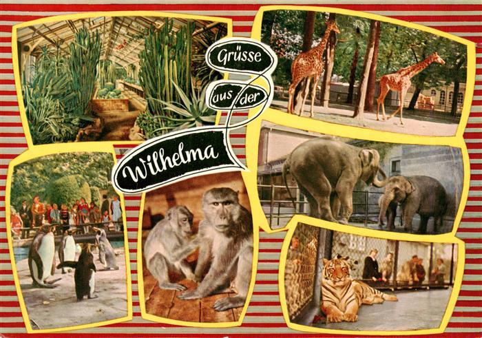Zoo Gardin Zoologique-- Stuttgart-Bad Cannstatt Wilhelma Affen Tieger Elefanten