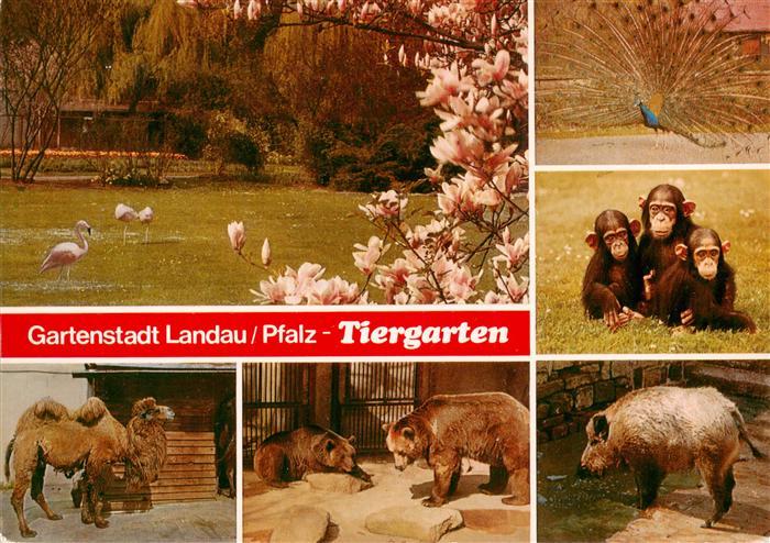 Zoo Gardin Zoologique-- Landau Pfalz Affen Baer Flamingos Kamel