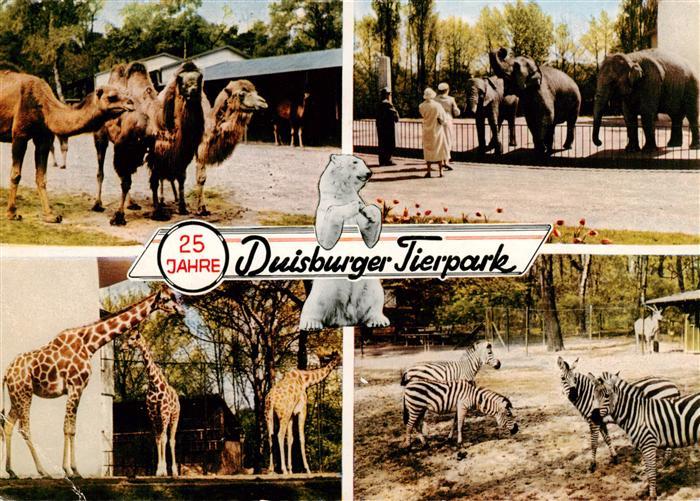 Zoo Gardin Zoologique-- Duisburg Kamel Zebra Giraffe Elefant