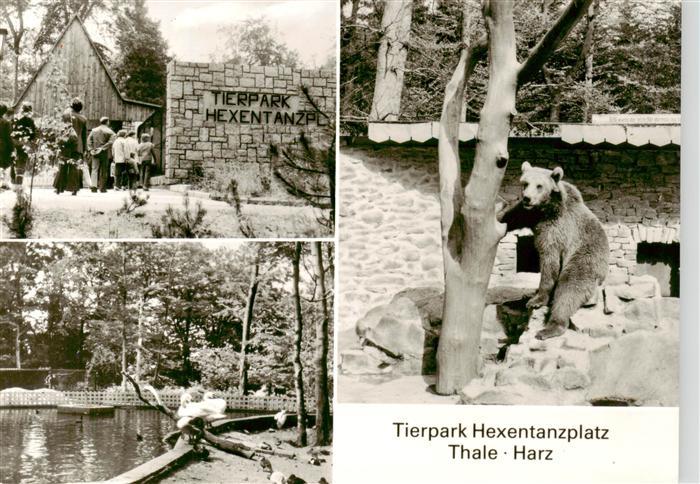 Zoo Gardin Zoologique-- Hexentanzplatz Thale Harz Baer