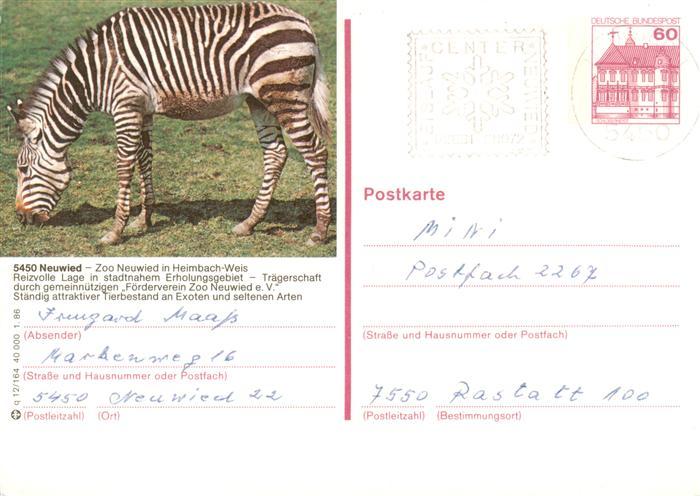 Zebra Neuwied