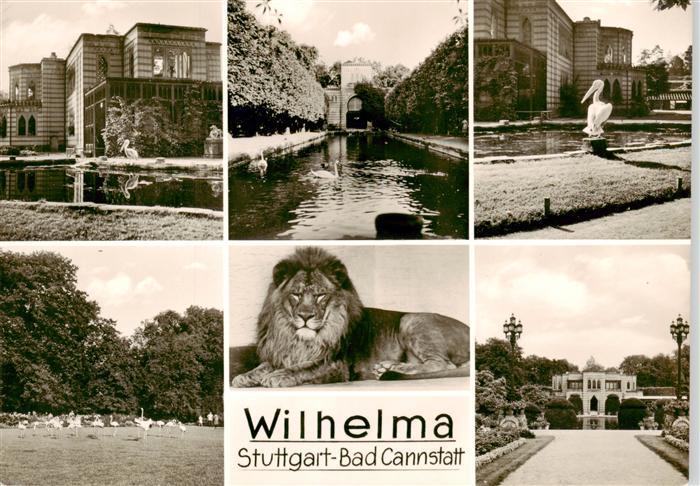 Zoo Gardin Zoologique-- Stuttgart Bad Cannstatt Wilhelma Loewe Schwan