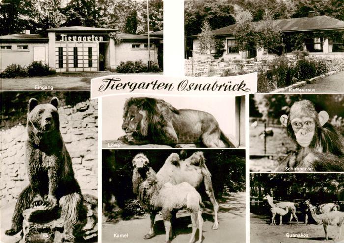 Zoo Gardin Zoologique-- Osnabrueck Loewe Schimpanse Kamel Baer Guanakos