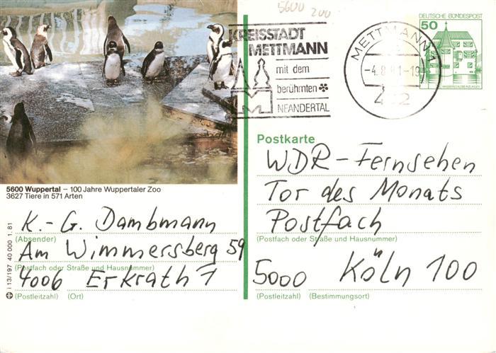 Pinguin Wuppertal