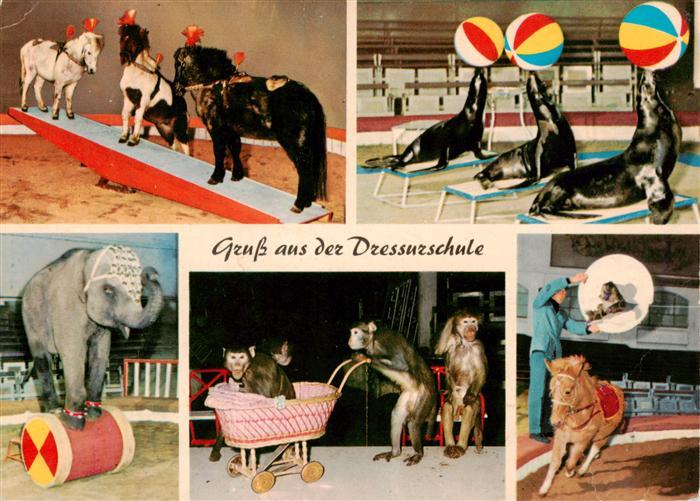 Zoo Gardin Zoologique-- CarlHagenbecks Hamburg-Stellingen Pony Affen Seehunde El