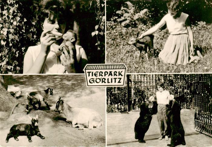 Zoo Gardin Zoologique-- Goerlitz Ziegen Baer Affen Baby Reh Baby