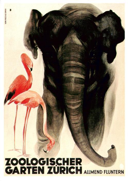 Fluntern Zuerich Zoologischer Garten Allmend Elefant Flamingo