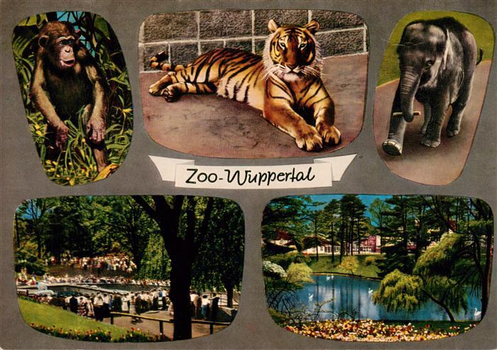 Zoo Gardin Zoologique-- Wuppertal Loewe Elefant Affe