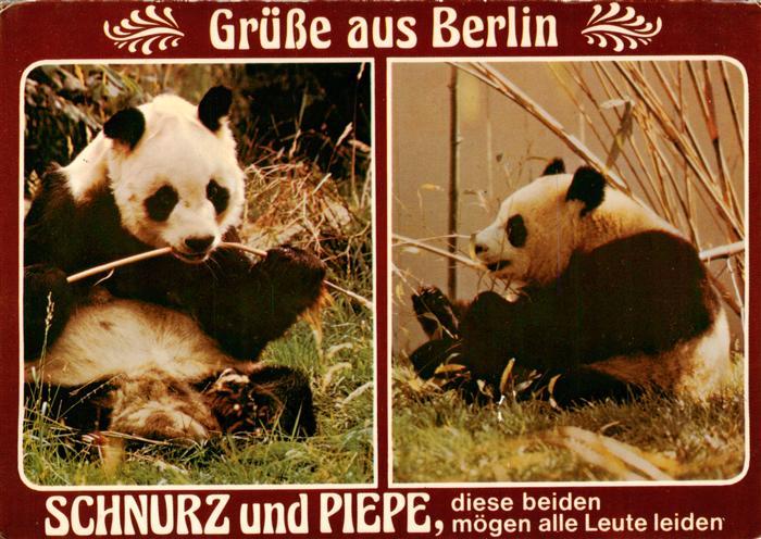 Pandabaer Berlin Schnurz Piepe