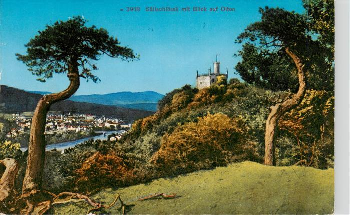 Olten SO Saelischloessli mit Blick auf Olten