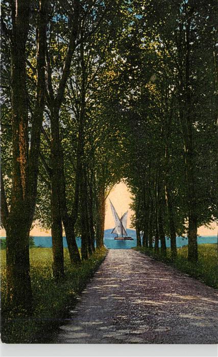 Vidy Lausanne Lac Leman VD Promenade Allee