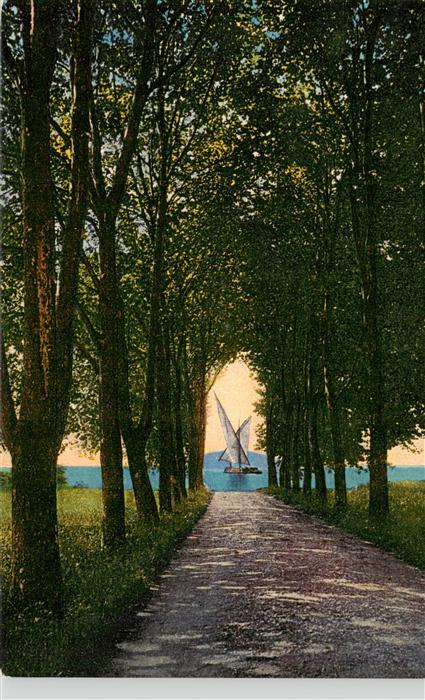 Vidy Lausanne Lac Leman VD Promenade Allee