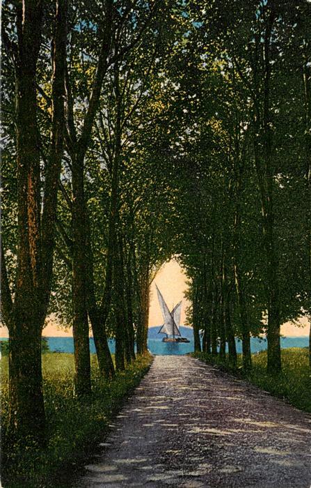 Vidy Lausanne Lac Leman VD Promenade Allee